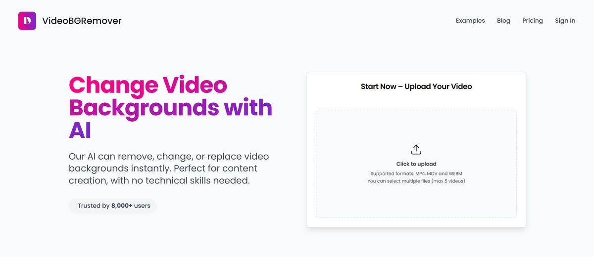 VideoBGRemover AI Reviews 2026, Alternatives, Pricing & Use cases