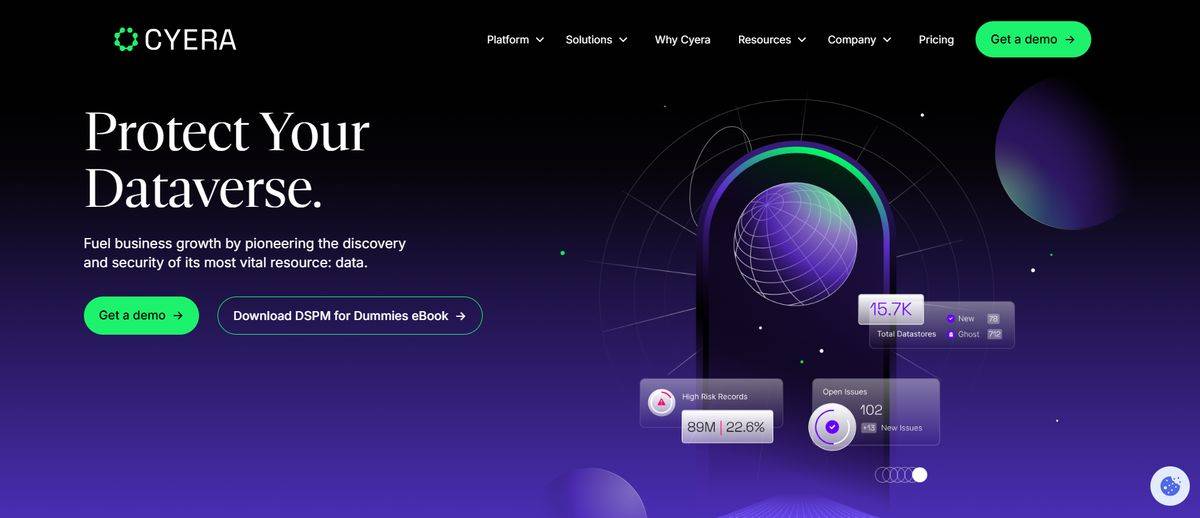 Cyera AI Reviews 2026, Alternatives, Pricing & Use cases